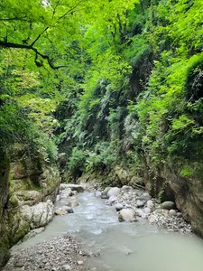 تنگ دار نوشهر