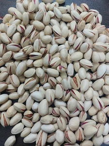 پسته و مغز (اسلام دوست جامی)