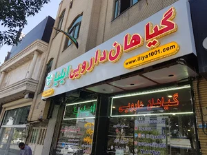 گیاهان دارویی ایلیا
