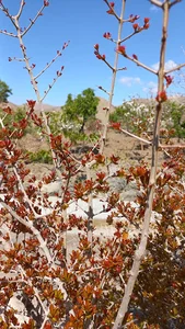 سراب بالا
