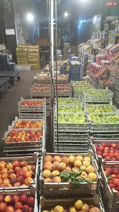 بنگاه بار فروشی کامران میری