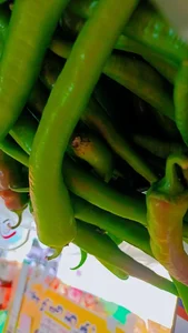 میوه فروشی صداقت 3