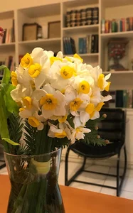 مطب دکتر مرجان احمدی
