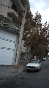 ظروف کرایه شادی 2