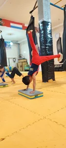 باشگاه ورزشی مدال آوران