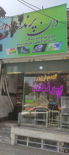 پرنده ۲۰۰۰