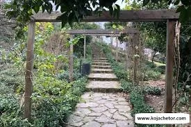 باغ نارنج لاهیجان کجاست؟| عکس| آدرس| راهنما| بهار نارنج
