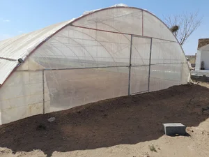 گلخانه سیاری