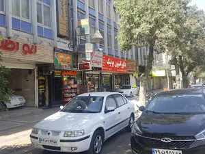 بیمه دانا