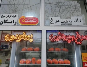 فروشگاه پورفریدون 4