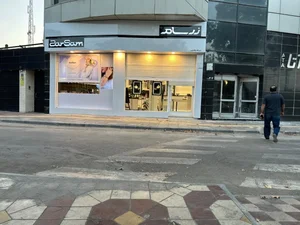 زرسام هنر 2
