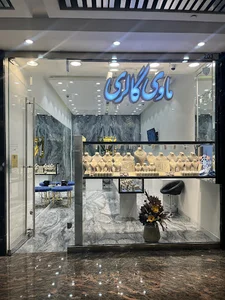 ماوی گالری