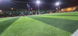 ملعب المروج
