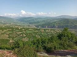 وزوار - ویکی‌پدیا، دانشنامهٔ آزاد