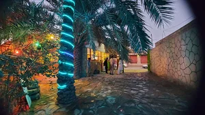وشین باگ