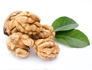 آجیل و خشکبار محمدی