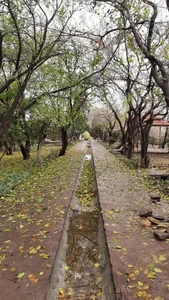 بوستان دانایی 4