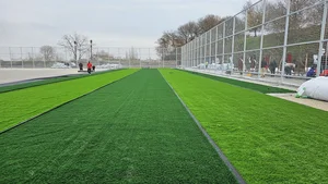 زمین چمن شهرداری