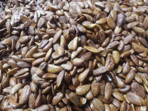 آجیل و خشکبار باستان 4