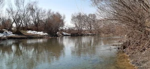 خانه باغ خالدی