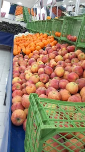 فروشگاه موادغذایی پناهی