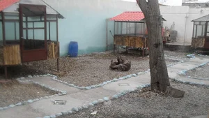 کافه رستوران آلاچیق