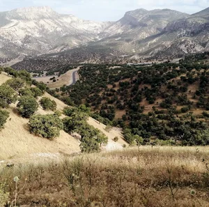 نام‌ تنگ