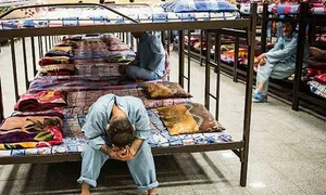داده پردازی ویرا اندیش لیان