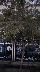 لوازم یدکی اتومبیل 2