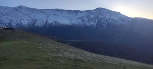 آدرینا.مارکت