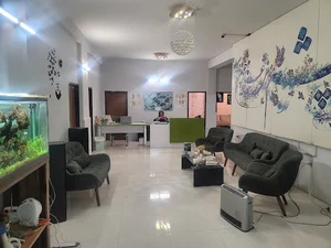 دکتر تکتم الماسی