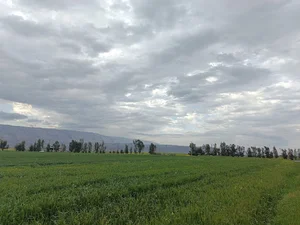 مجتمع آپارتمان های مسکن و شهرسازی(۹۹ساله)