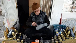 تولید و پخش کفش ارسی مد