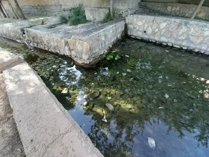 سراب نیلوفر(چنگایی)