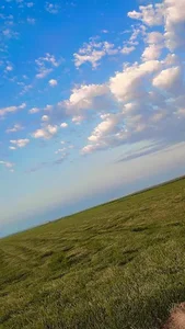 روستای صگور بیت شیخ ابدیوی