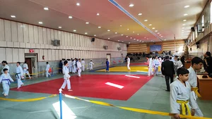 آکادمی جودو