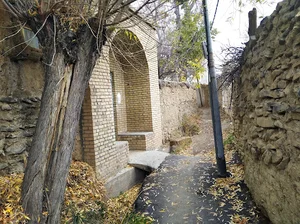 کوچه باغ