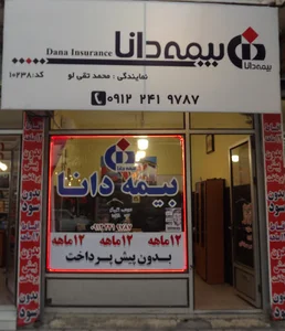 بیمه دانا نمایندگی تقی لو