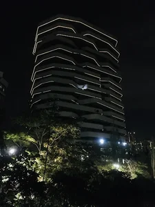 سپیدار