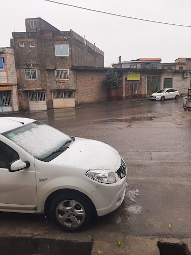 الکتریکی گلباران