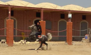 باشگاه سوارکاری عبدالله کیانی فلاورجان