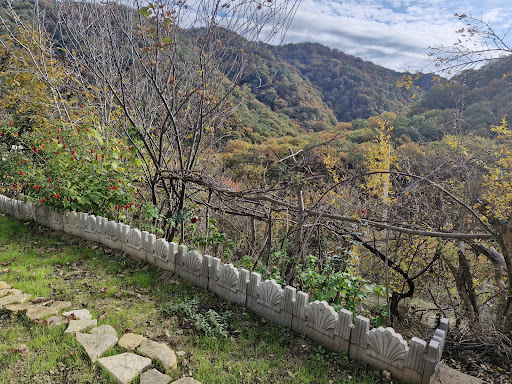 ویلای آقای رستمی