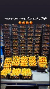 سوپر میوه سکینی 2