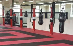 باشگاه بدنسازی سلبریتی