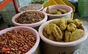 محصولات باغ باباحاجی