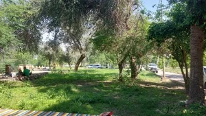 بوستان شهید مطهری 5