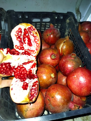 آلوئه ورا و انار گلزار