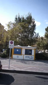 پیک بادپا 4