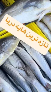 مرغ و ماهی پرطلا 3