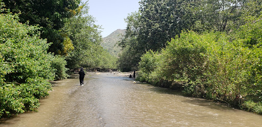 وادي عنه